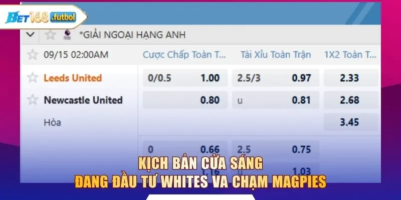 Kịch bản cửa sáng đang đầu tư Whites va chạm Magpies